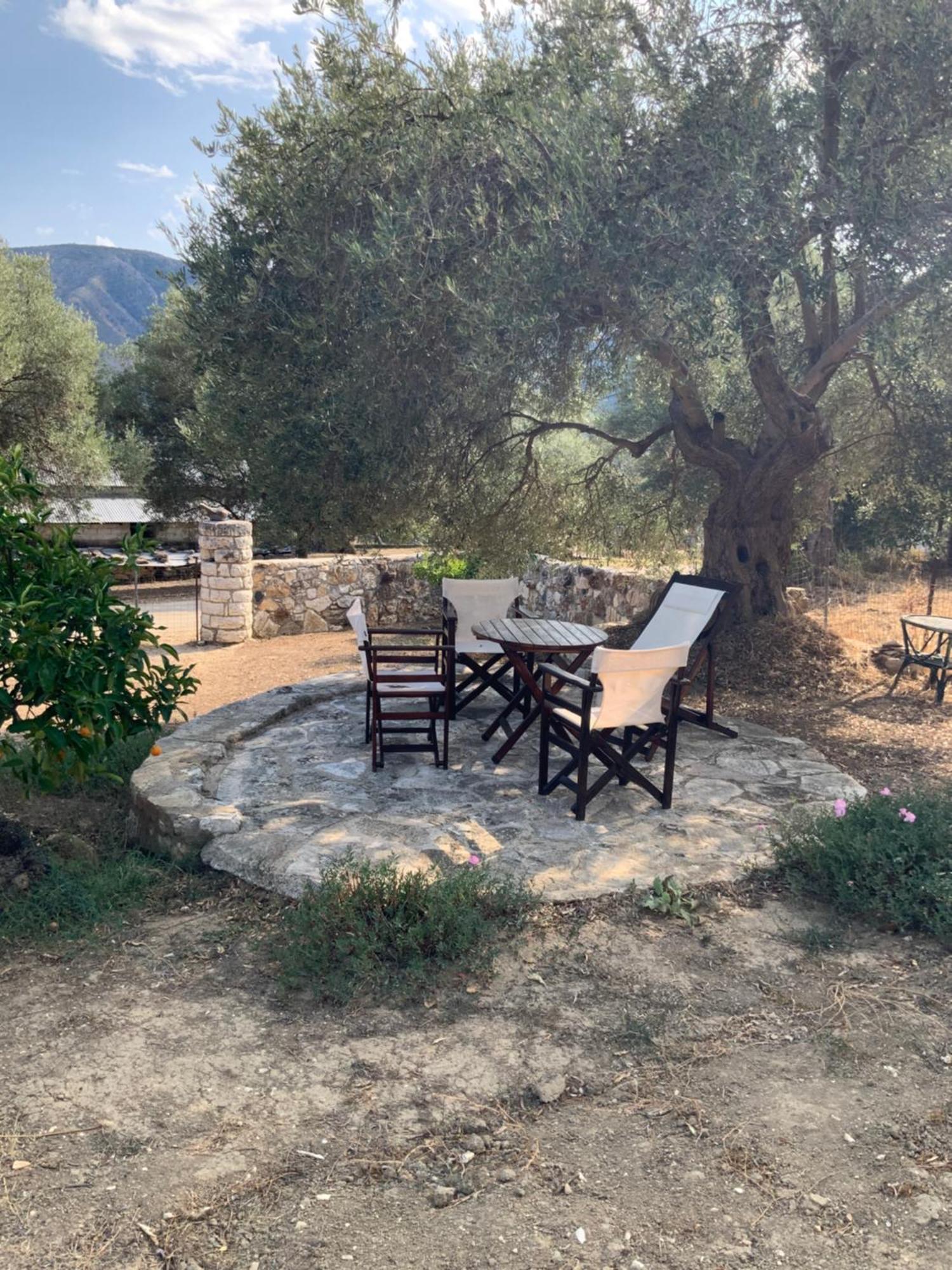 Villa Gloria Plataria Igoumenítsa Extérieur photo